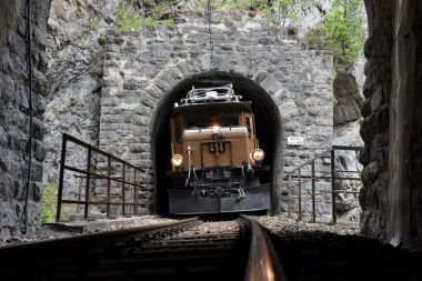 Krokodillok beim Bärentritt